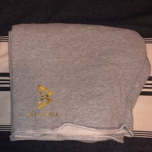 Beast mode sweat shorts. Perfect condition